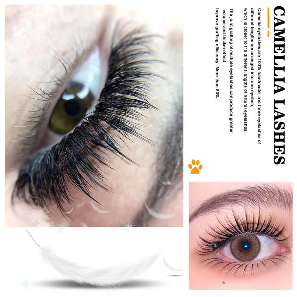Yelix 0.07 Camellia Individual Eyelash Extension(import material) yelixlash