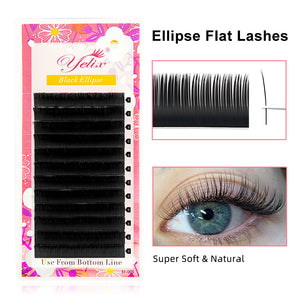 Flat Ellipse lash