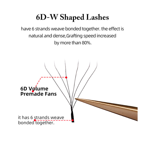 Yelix 0.07 6D-W shaped Auto Fan Eyelash Extension