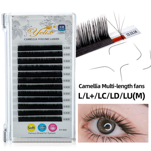 Yelix 0.07 Camellia Individual Eyelash Extension L/L+/LC+LD+LU Natural Long For Western Vibes yelixlash