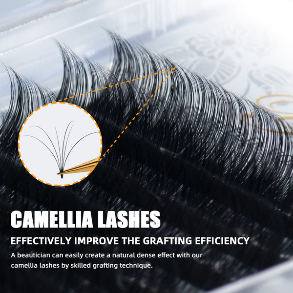 Yelix 0.07 Camellia Individual Eyelash Extension(import material)