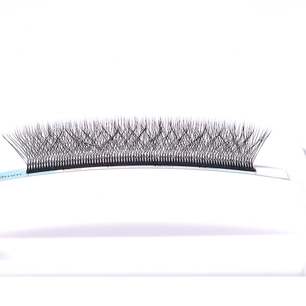 Yelix 0.07 5D-W shaped Auto Fan Eyelash Extension