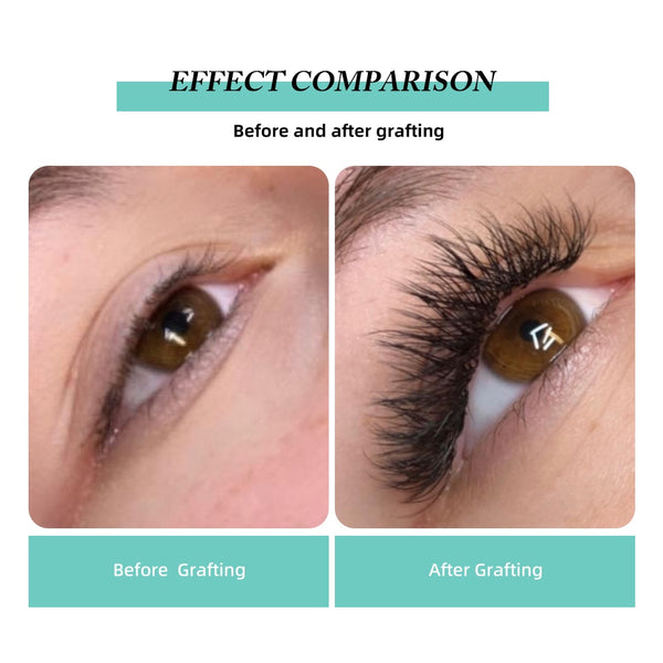 Yelix 0.07 Double Tips 5D-W shaped Auto Fan Eyelash Extension