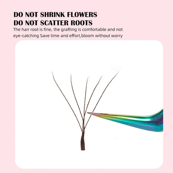 Yelix 0.07 5D W Shaped Premade Fans Volume Eyelash Extension