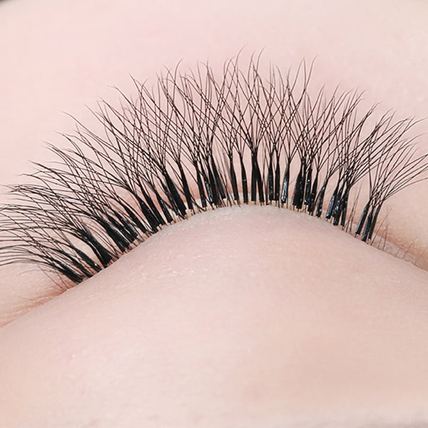 Yelix 0.07 5D W Shaped Premade Fans Volume Eyelash Extension