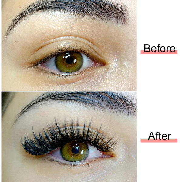 Yelix 0.03 Camellia Auto Fan Curly Wispy Lashes Eyelash Extension